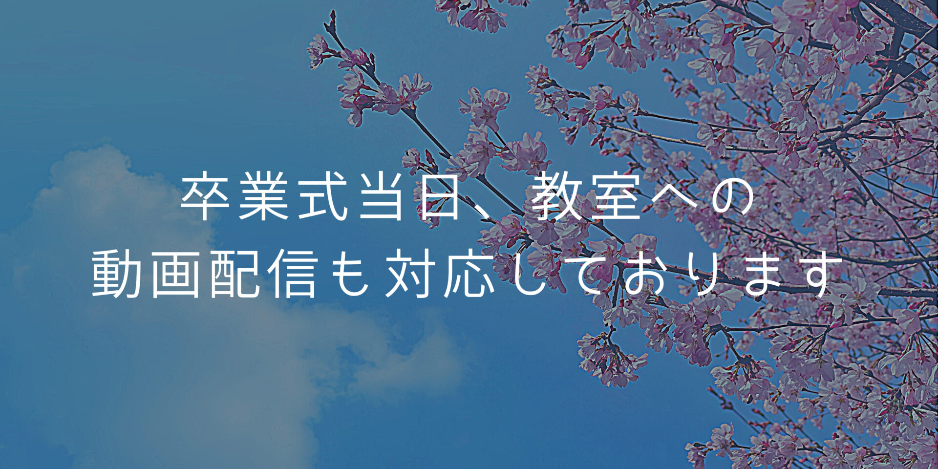 卒業式当日 教室への動画配信も対応しております スクールムービー 卒業式など学校行事のビデオ撮影 動画編集 Dvd ブルーレイ制作